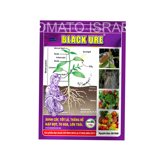 BLACK URE (1kg)