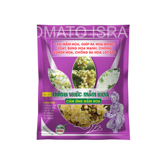 ĐÁNH THỨC MẦM HOA (600G)