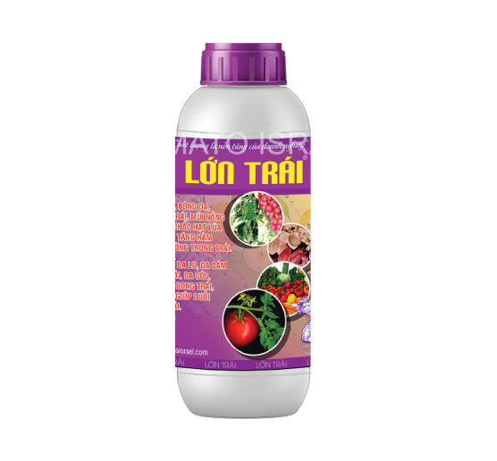 LỚN TRÁI (500ml)